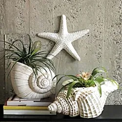 Seashells in the bathroom interior photo