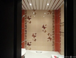 Bathroom butterflies photo