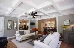 Photos of living room ceilings