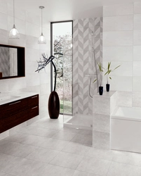 Birch Ceramic Tiles In The Bathroom Interior