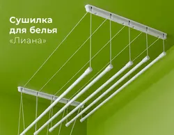 Мисли ток дар акси ҳаммом