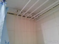 Ваннадағы фотосуреттегі жүзім бұтасы сияқты