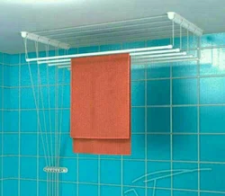 Like a vine in the bathroom photo