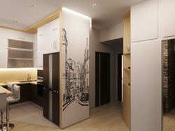 Kitchen and hallway design in a small apartment photo
