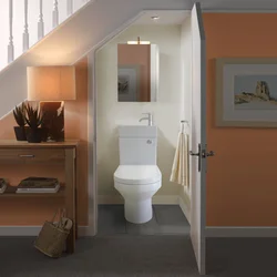 Bathroom design in a house under the stairs
