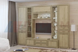 Гостиные карина в интерьере