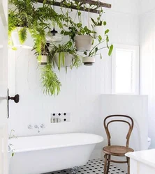 Bathroom design with flowers photo