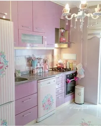 Small pink kitchen design photo