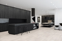 Kitchen living room interior in black tones