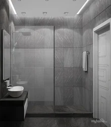 Bathtub with shower design in gray tones