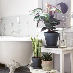 Flowers in the bathroom interior photo