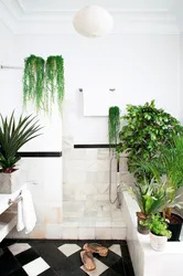 Flowers in the bathroom interior photo