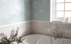 Пластикалық панельдер мен плиткалардан жасалған ваннаның дизайны