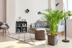 Palm trees in the living room interior photo