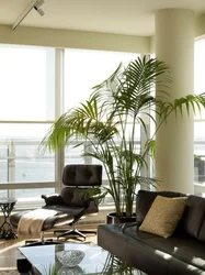 Palm Trees In The Living Room Interior Photo