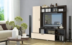 Mini wall for TV photo modern for small apartments