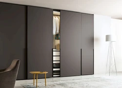 Stylish Wardrobes For The Living Room Photo
