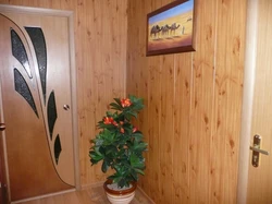 Долонҳо Аз Панелҳои Пластикӣ Сурат