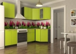 Lime color in kitchen design