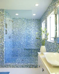 All photos of bathroom mosaics