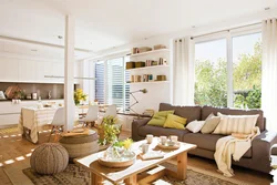 Hall living room and kitchen design