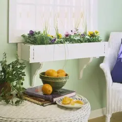 Фото цветы дома на кухне