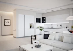 Studio kitchen interior in the house