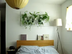 Bedroom interior with indoor plants