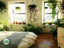 Bedroom interior with indoor plants