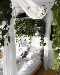 Bedroom interior with indoor plants