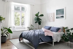 Bedroom interior with indoor plants