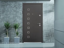 Дарҳои оҳанӣ ба квартира акс