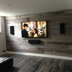 Laminate On The Wall In The Living Room Interior For TV