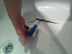 Chip in bathroom photo