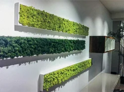 Панно мох в интерьере кухни