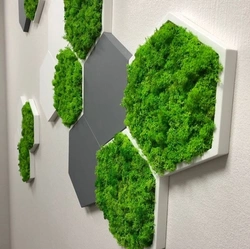 Stabilized moss in the living room interior
