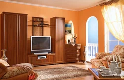 Walnut color in the living room interior