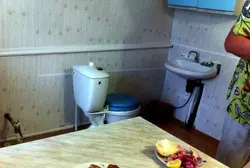 Apartments With A Toilet In The Kitchen Photo