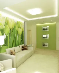 Төбесі жасыл болса, қонақ бөлмесінің интерьері