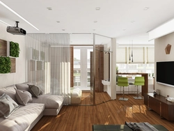 Living room kitchen photo studio apartment