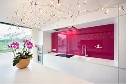 Fuchsia in the kitchen interior photo