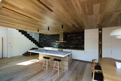 Laminate on the kitchen ceiling photo of interiors
