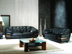 Living room design with leather sofa