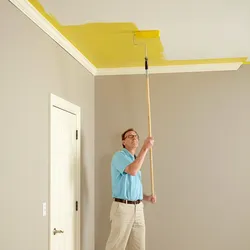 Su emulsiyası fotoşəkili ilə mətbəxdə divarların rənglənməsi