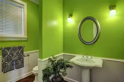 Paint in the bathroom instead of tiles photo