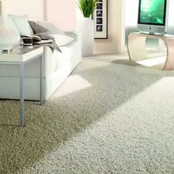 Carpet in the bedroom interior