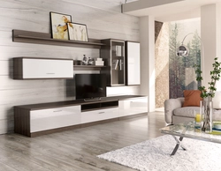 Modular system for living room photo