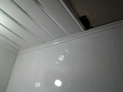 Ceiling Made Of Pvc Panels In The Bathroom Photo