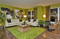 Brown green living room design