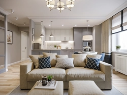 Gray Beige Interior Kitchen Living Room